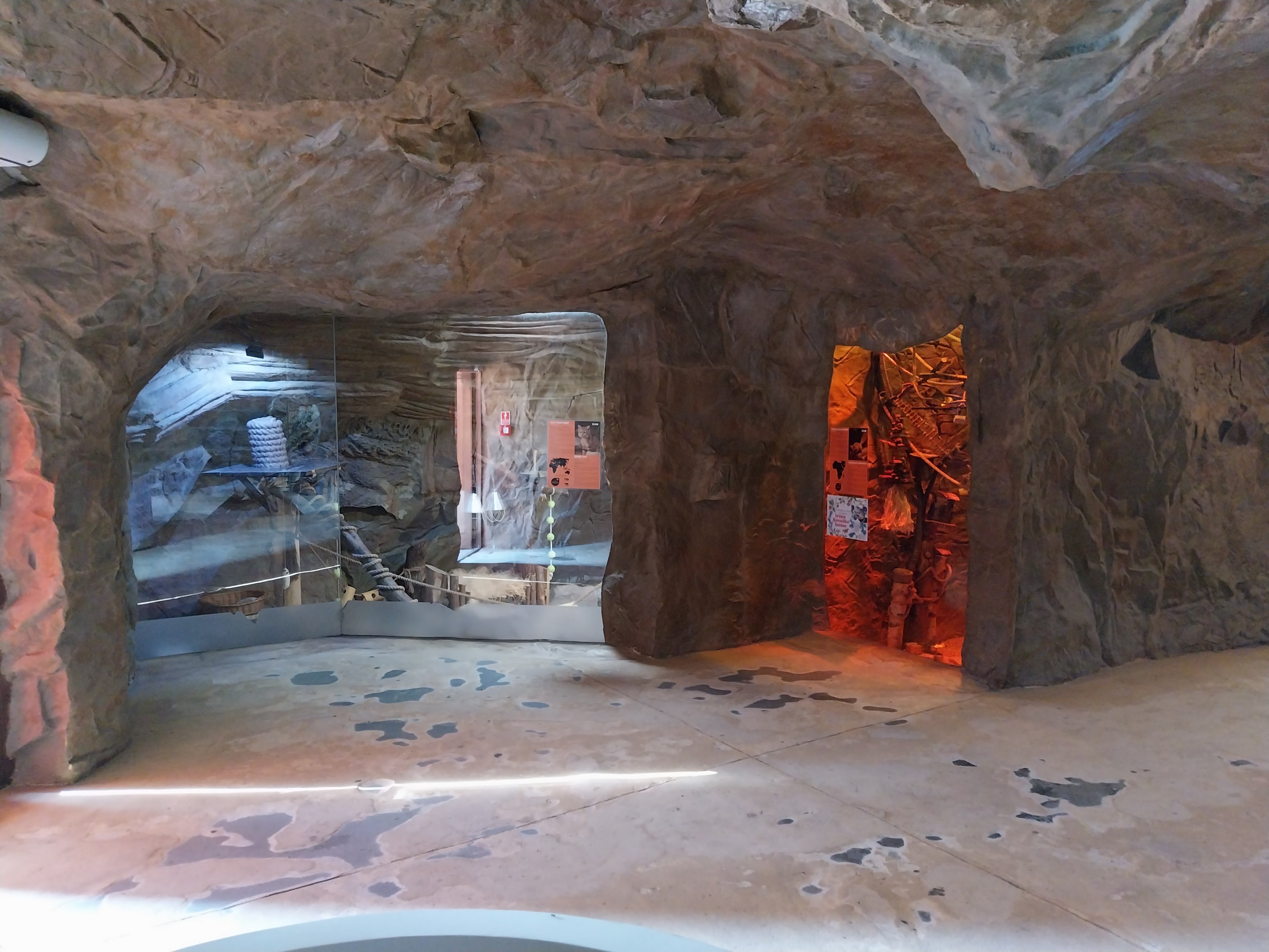 Lion House - Visitor area