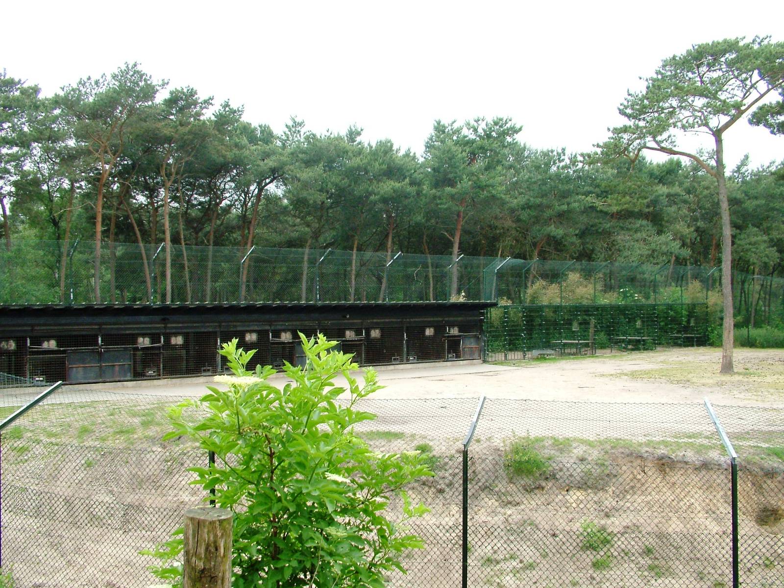 Lion Housing at Beekse Bergen, 31/05/12