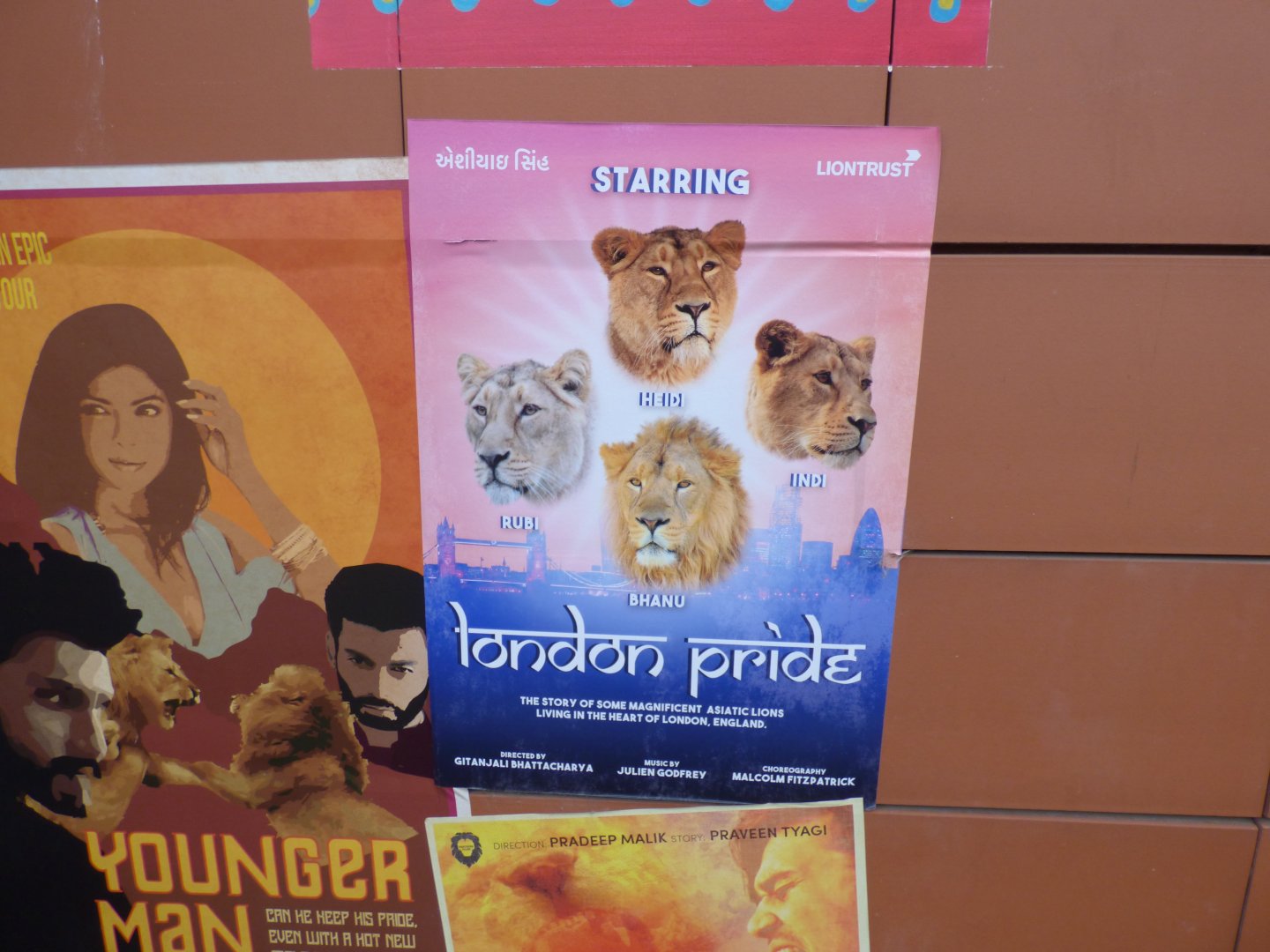 Lion Identification Sign