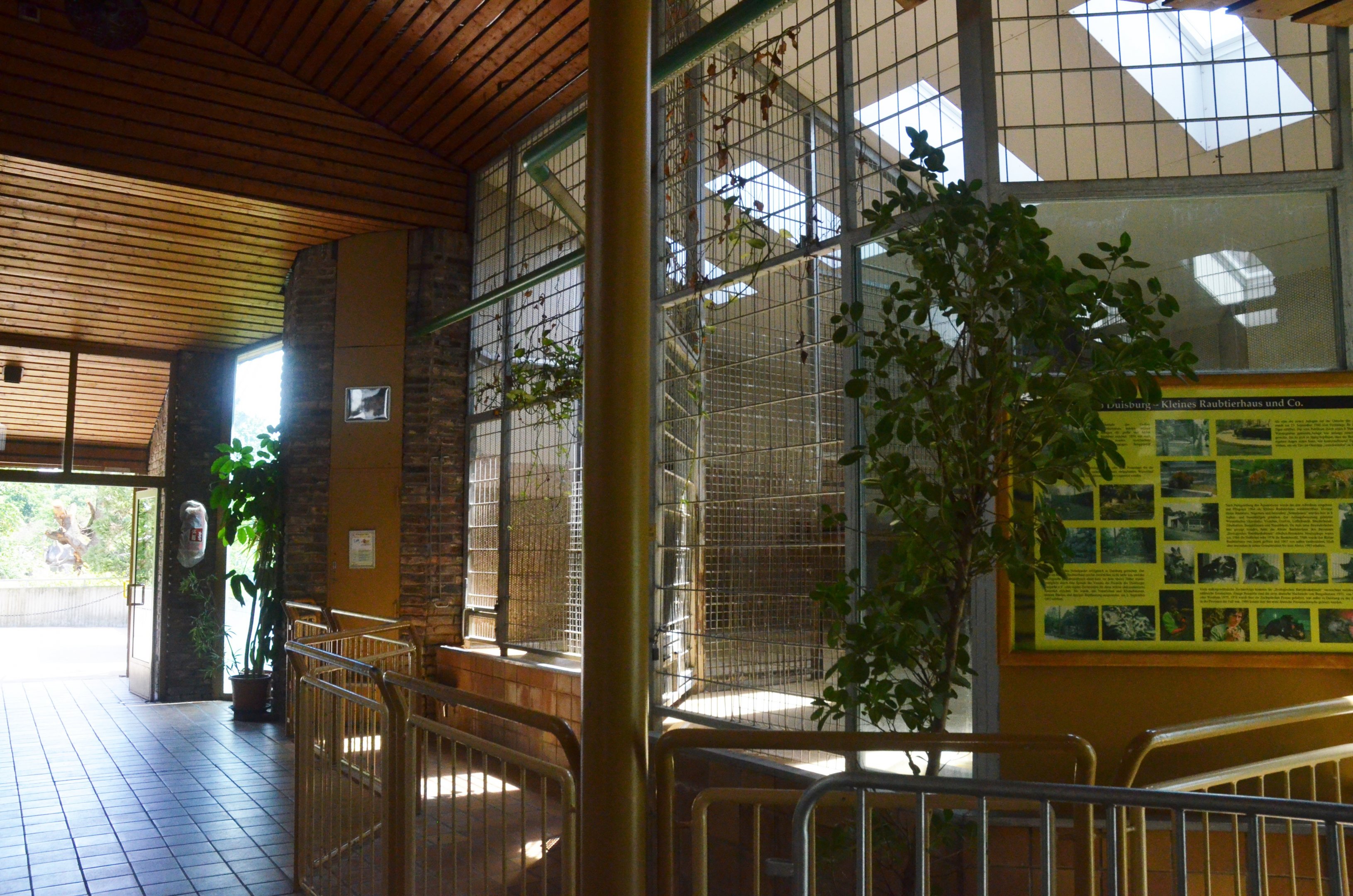 Lion Indoor Enclosure at Duisburg, 17/06/19