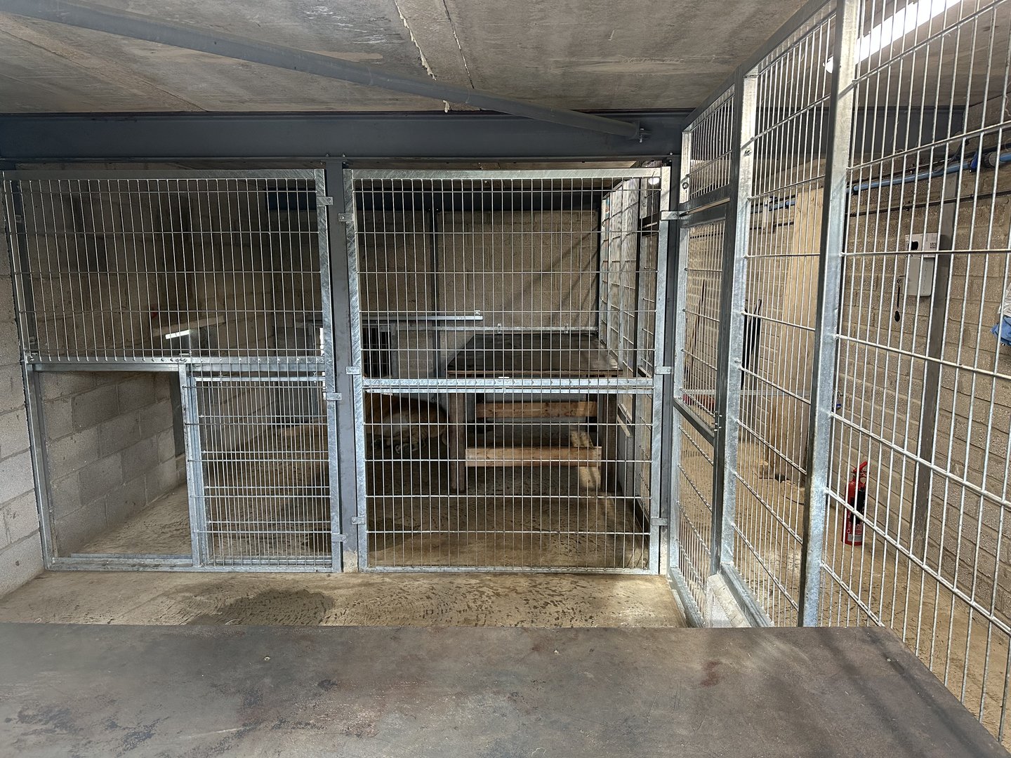 Lion Indoor Enclosure at Johnsons of Old Hurst (October 2023)