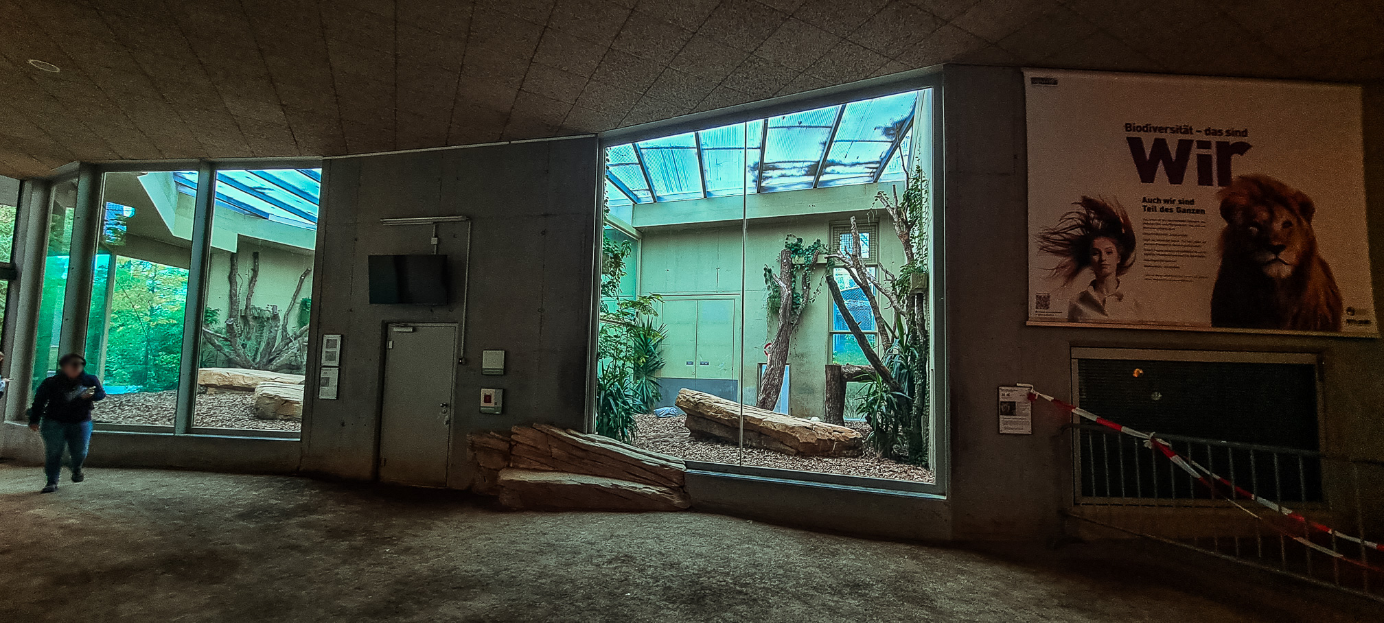 Lion indoor enclosure