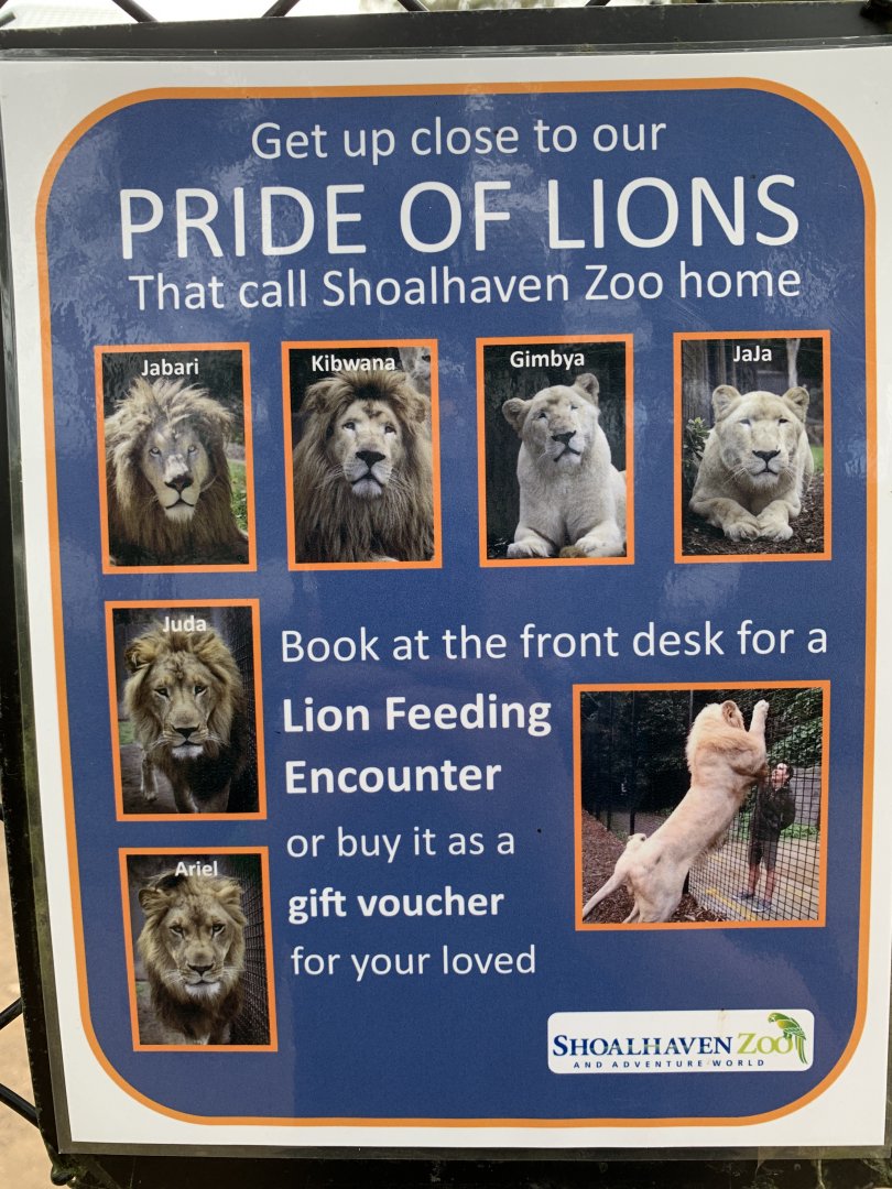 Lion Info Sign