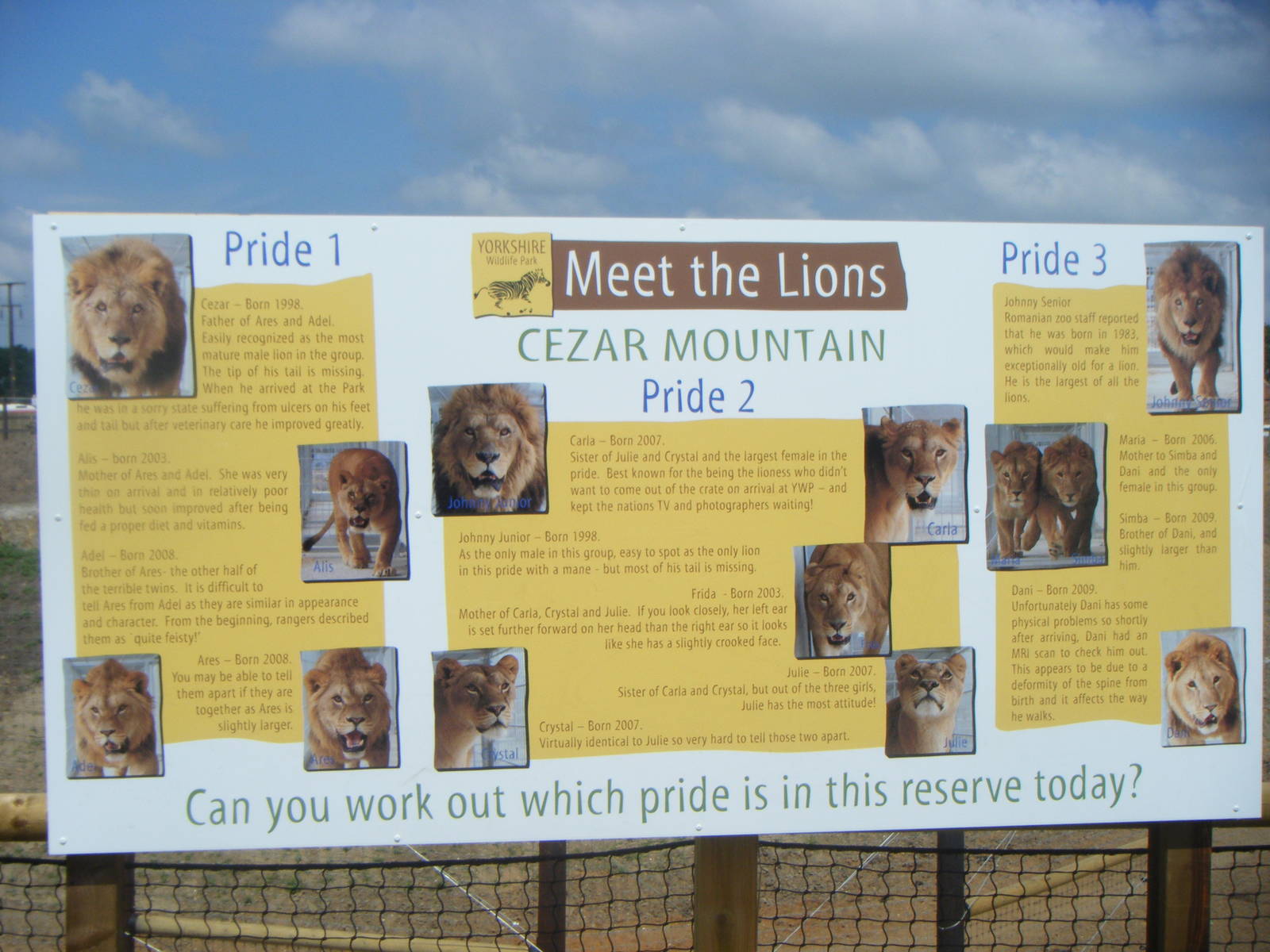 Lion infomation board