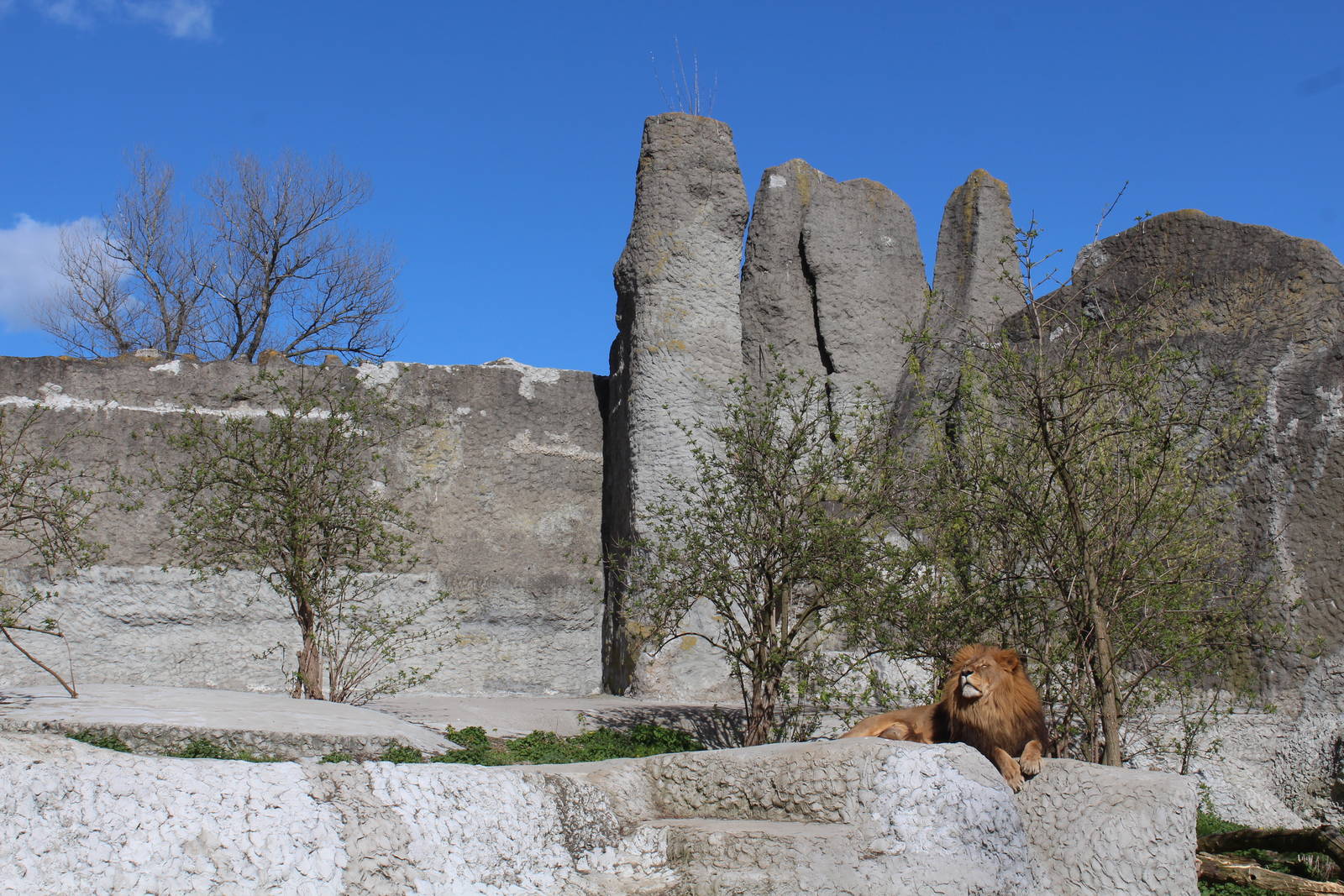 Lion Mountain Thing, April 2015