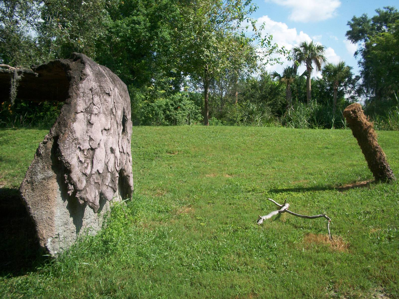 Lion or Hyena Exhibit