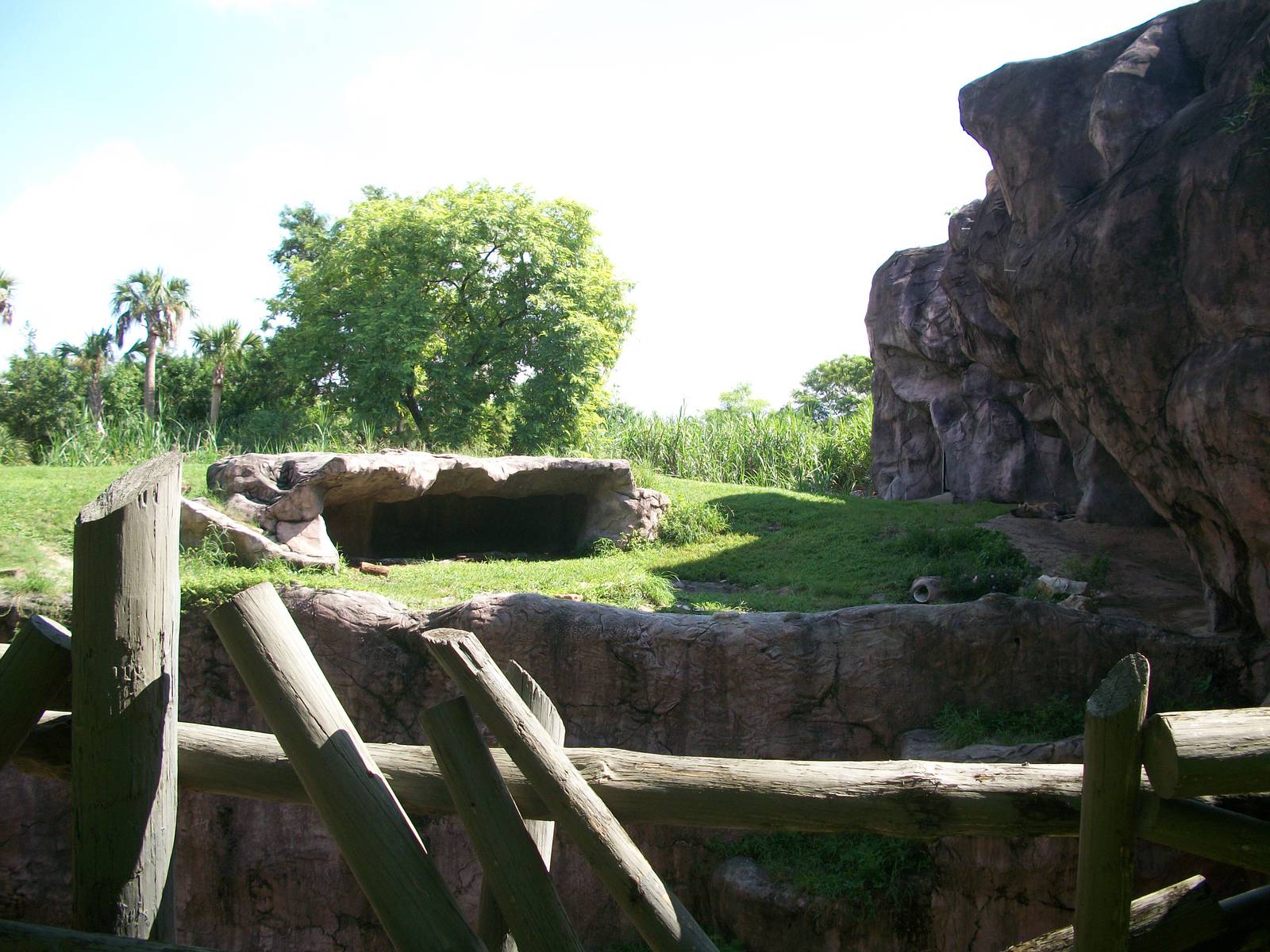 Lion or Hyena Exhibit