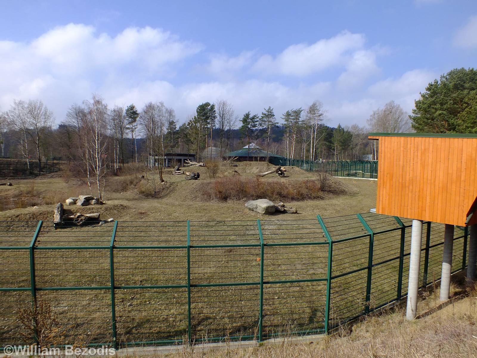 Lion Outdoor Enclosure