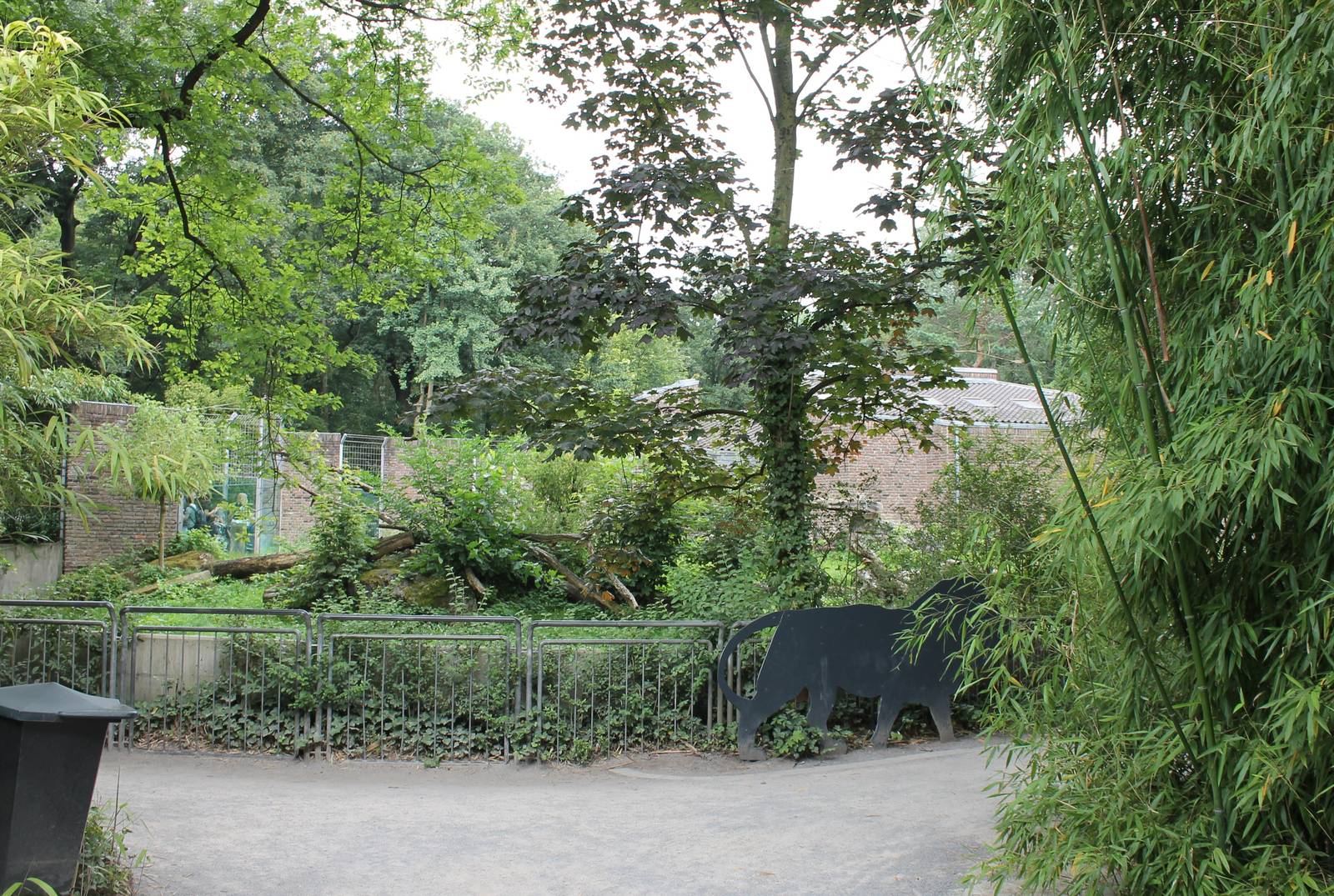 Lion outdoor enclosure