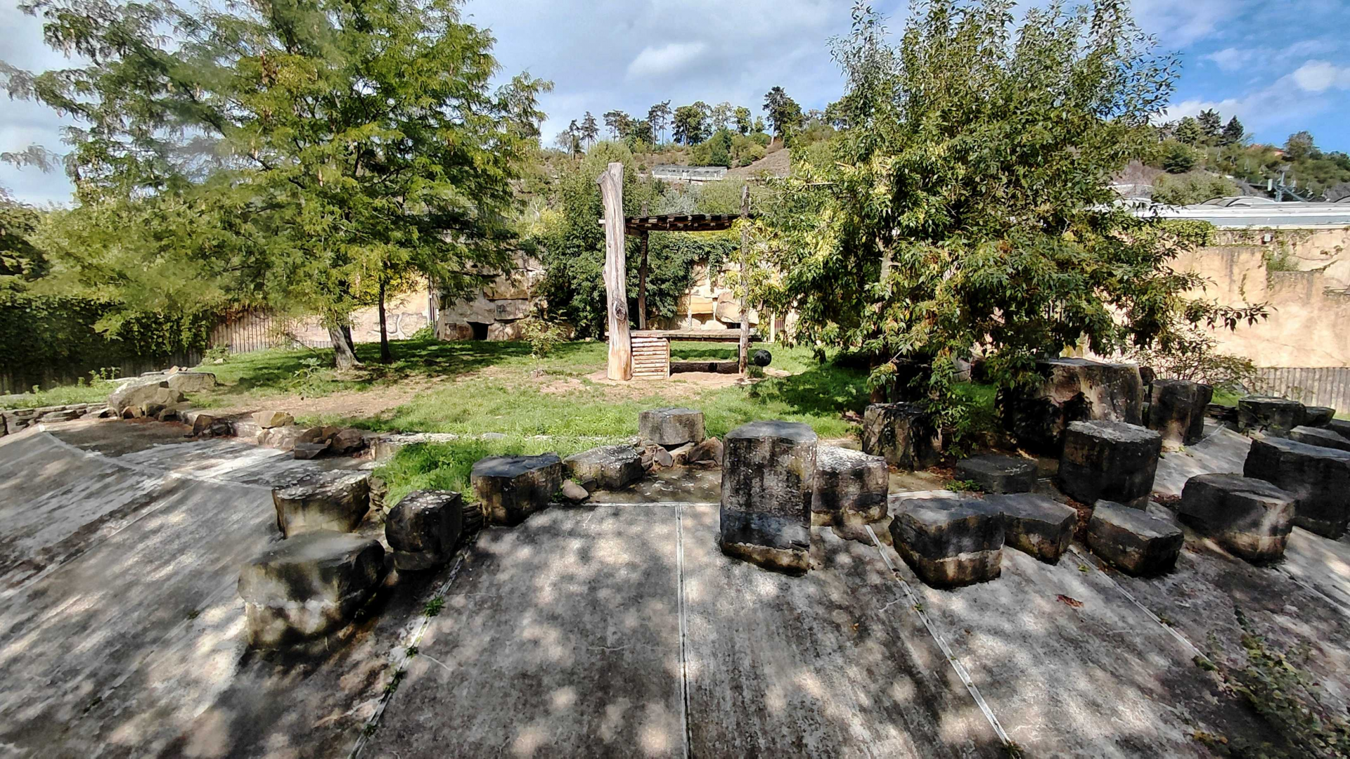 Lion outdoor exhibit