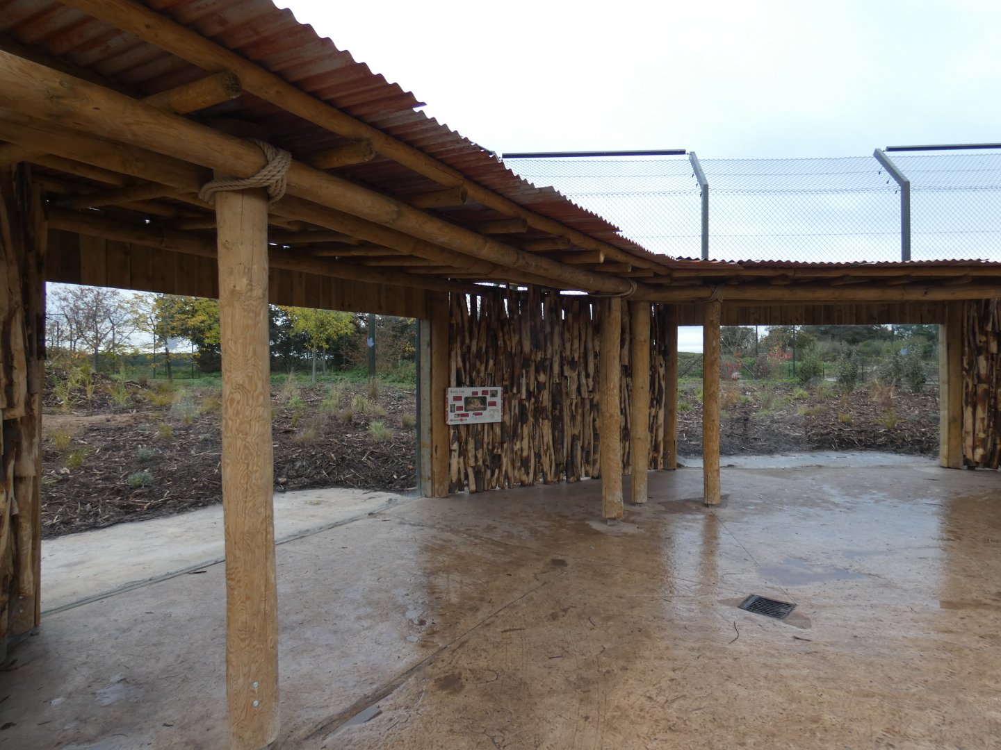 Lion outdoor viewing area