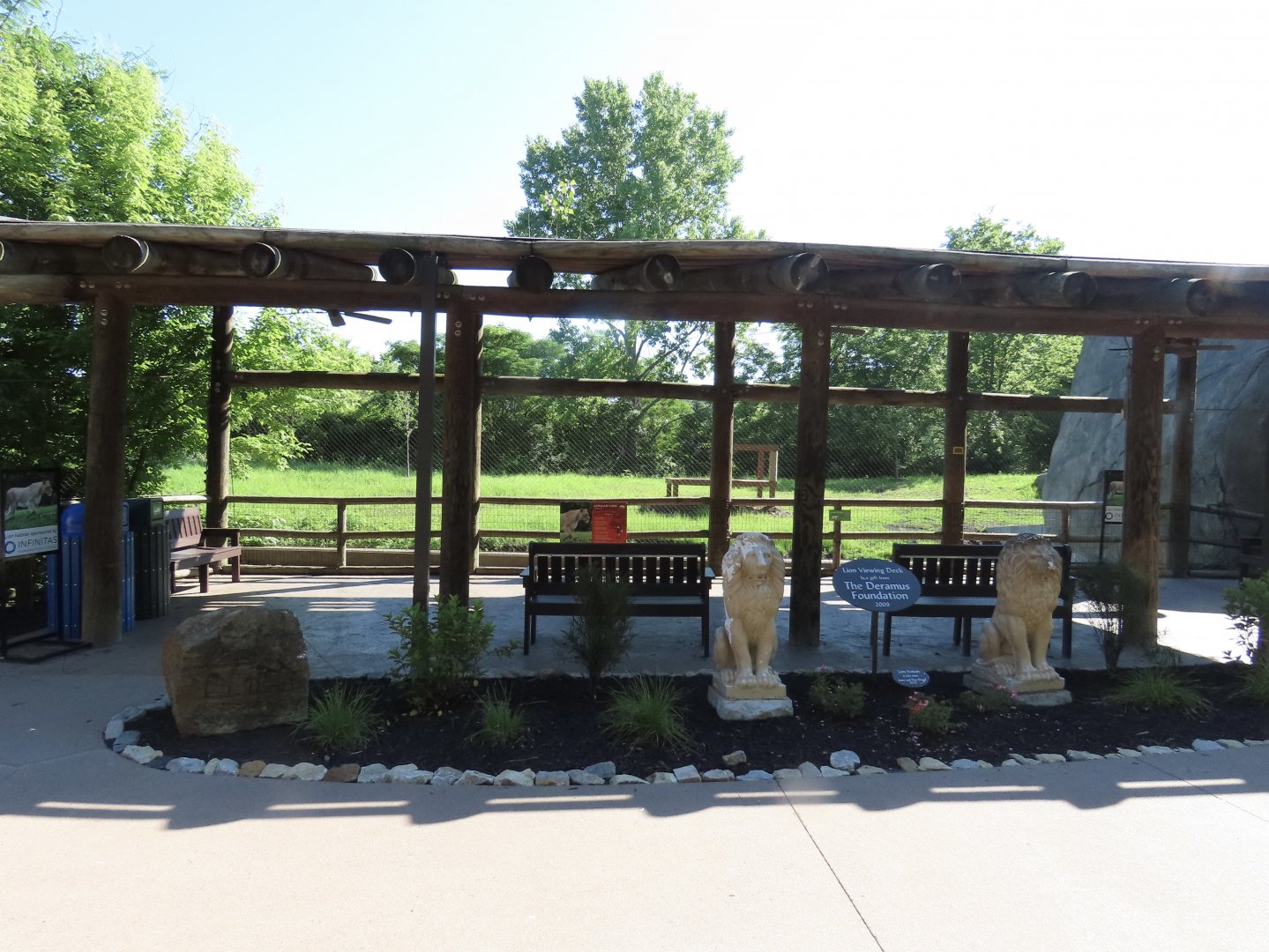 Lion Outdoor Viewing Area