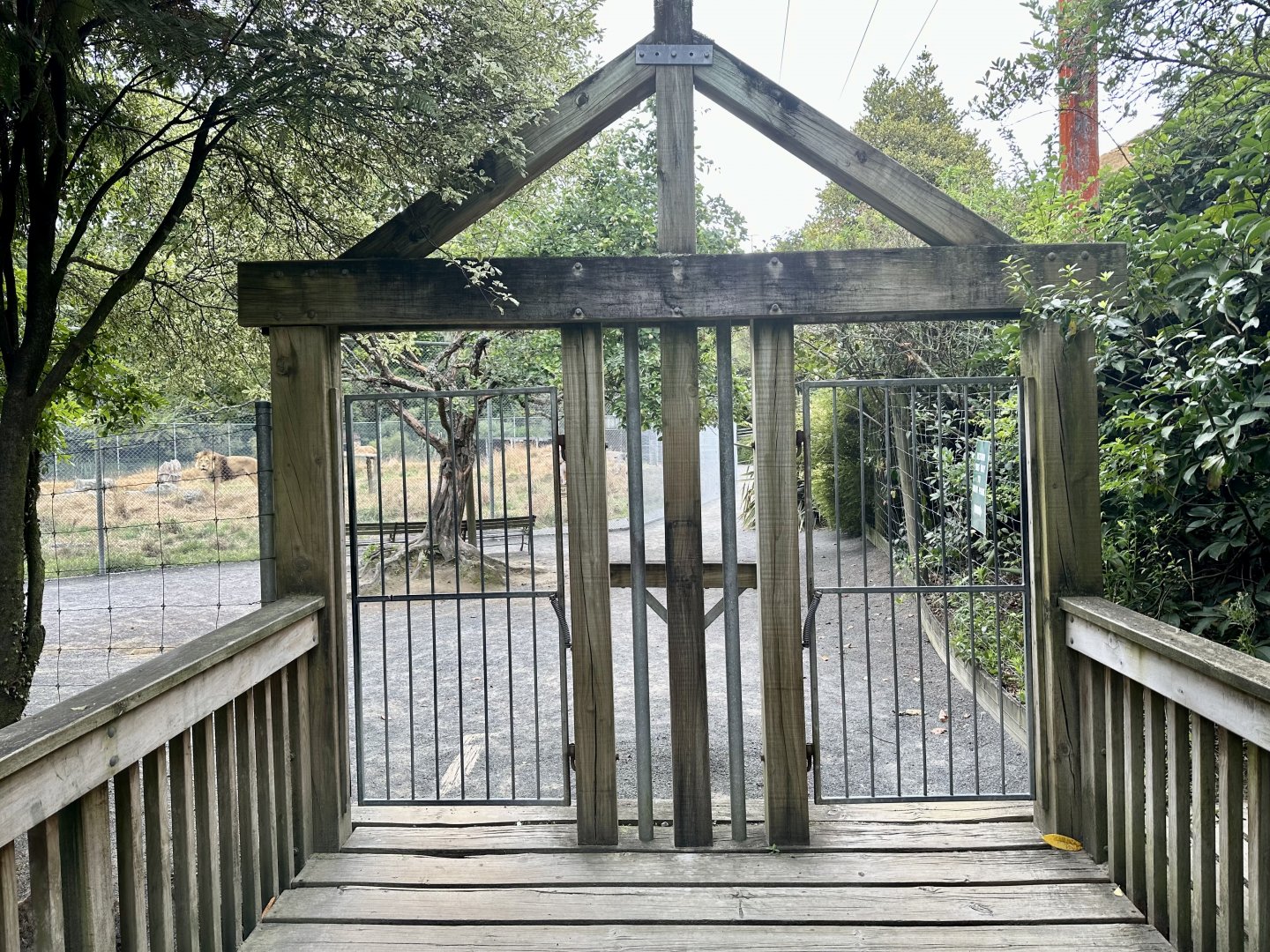 Lion Park - Entrance Gates
