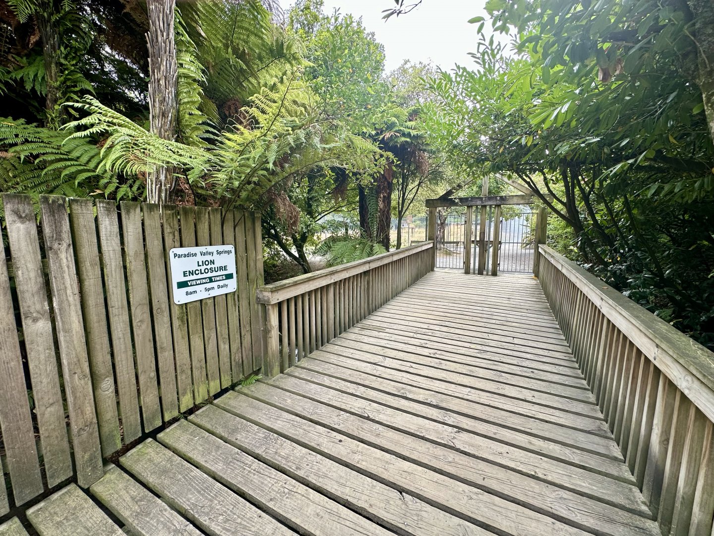 Lion Park - Entrance