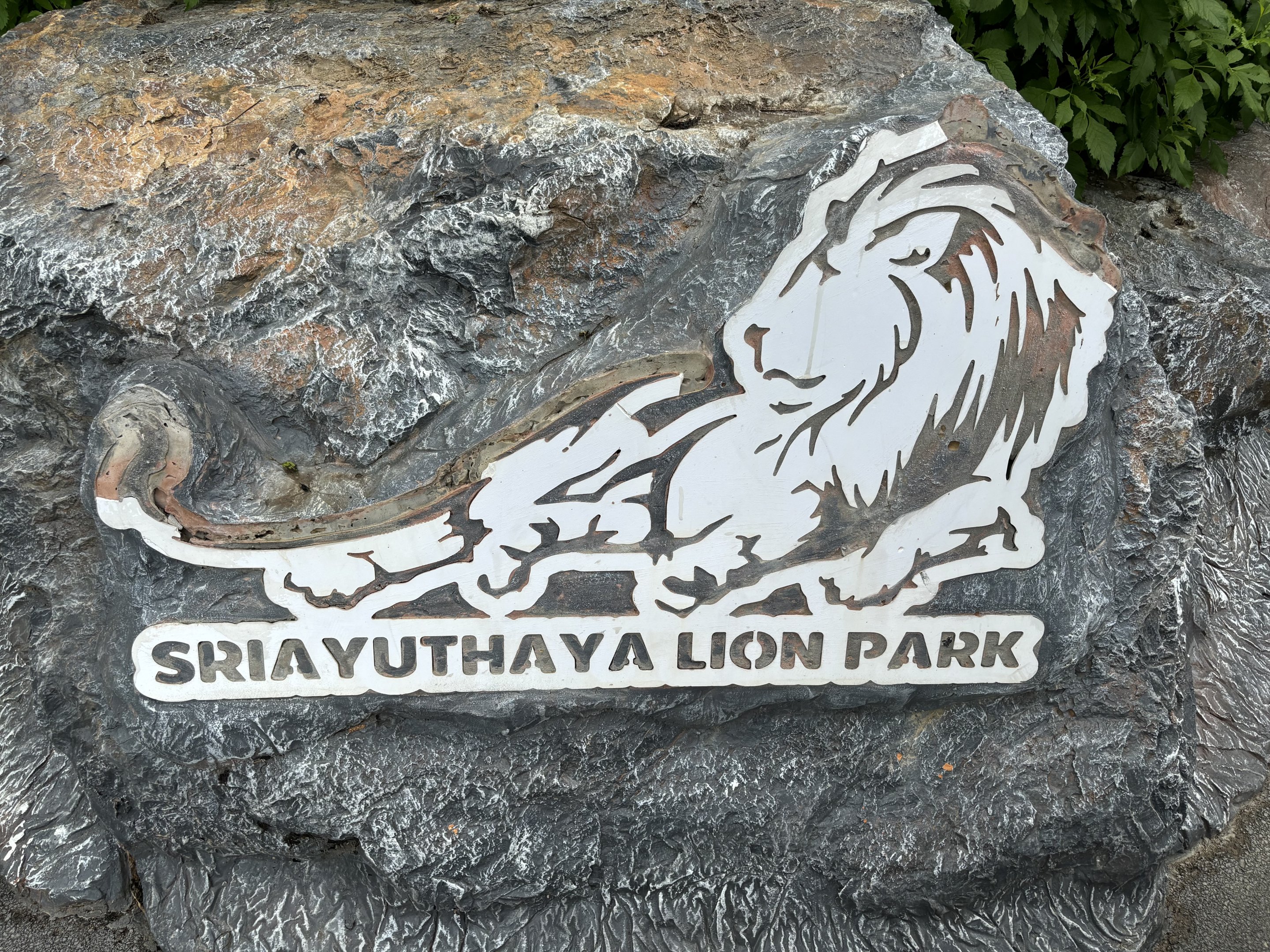 Lion Park Logo