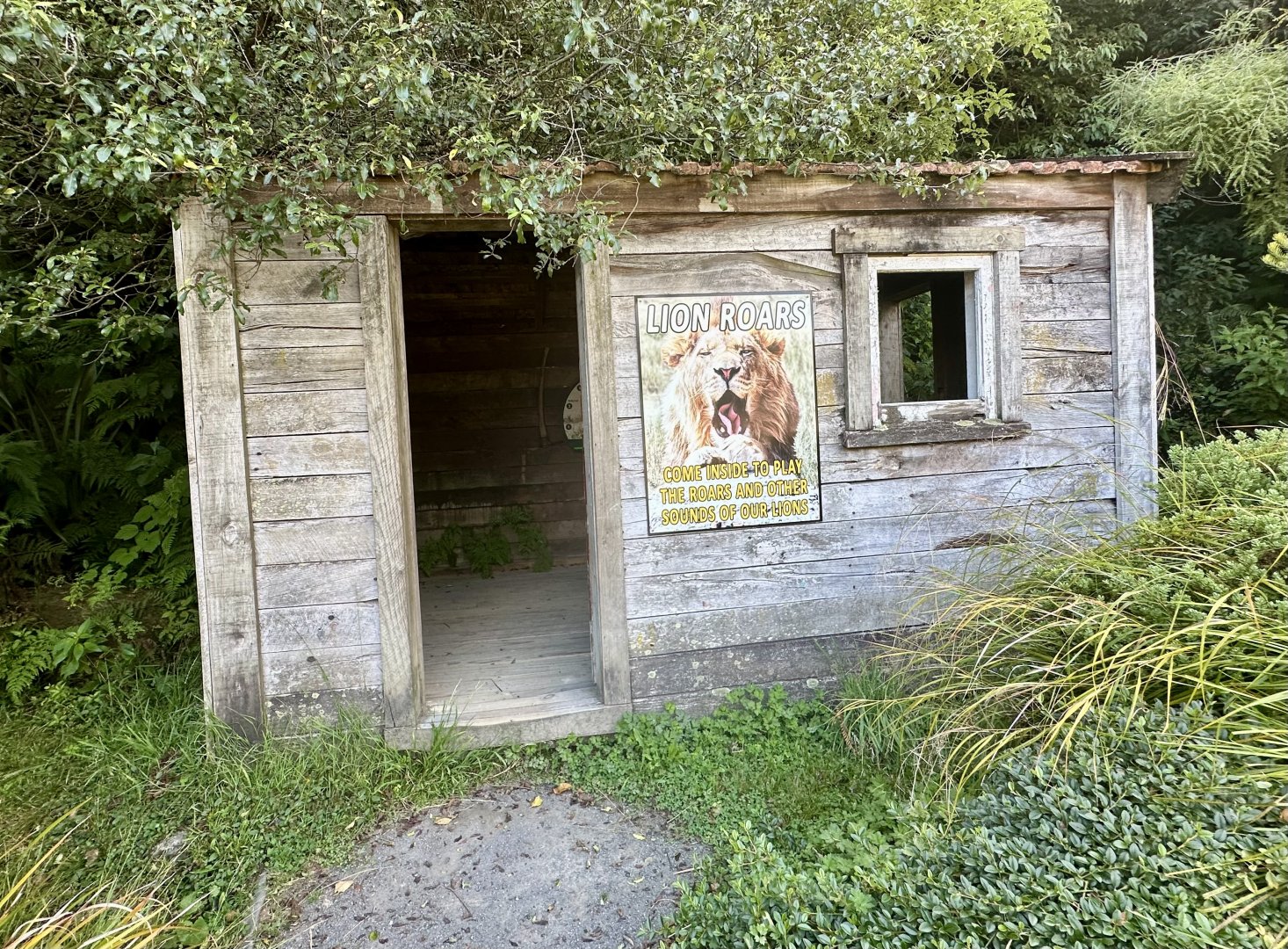 Lion Park (Visitor Hut)