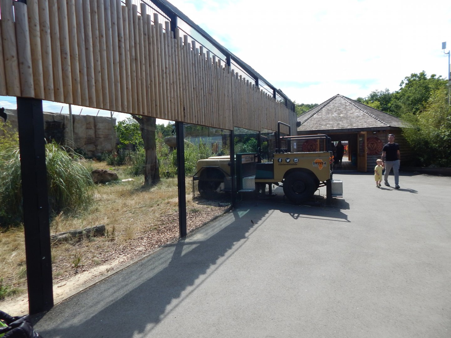 Lion Pride Lands 100722