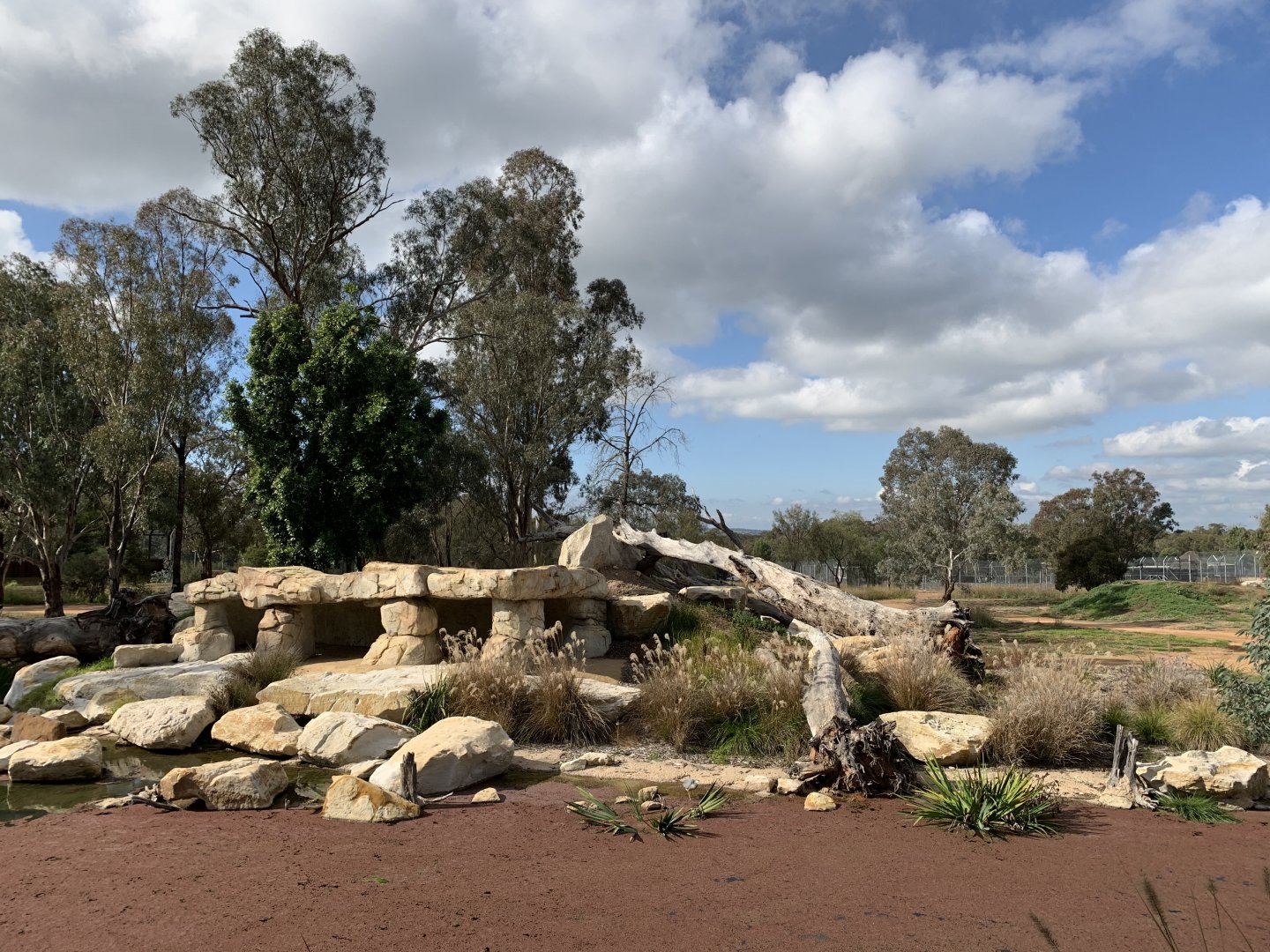 Lion Pride Lands Exhibit