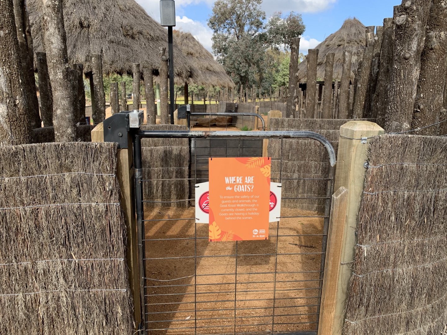 Lion Pride Lands- Goat Kraal Closed