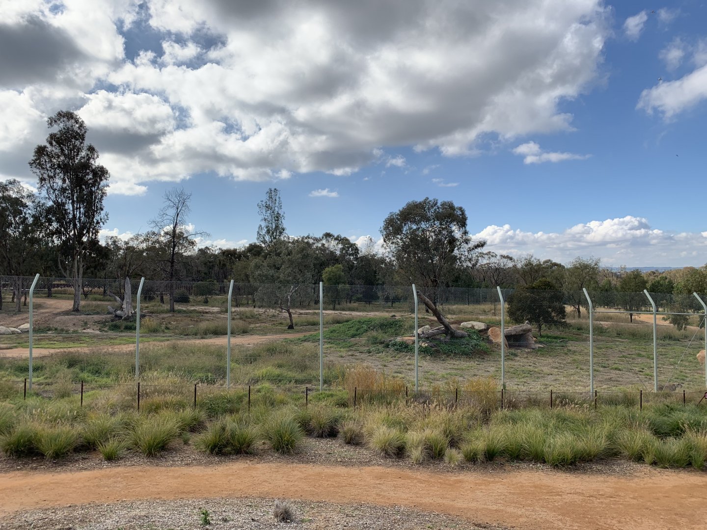 Lion Pride Lands View From Watchtower