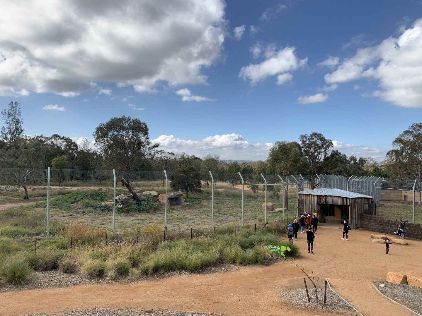 Lion Pride Lands View From Watchtower