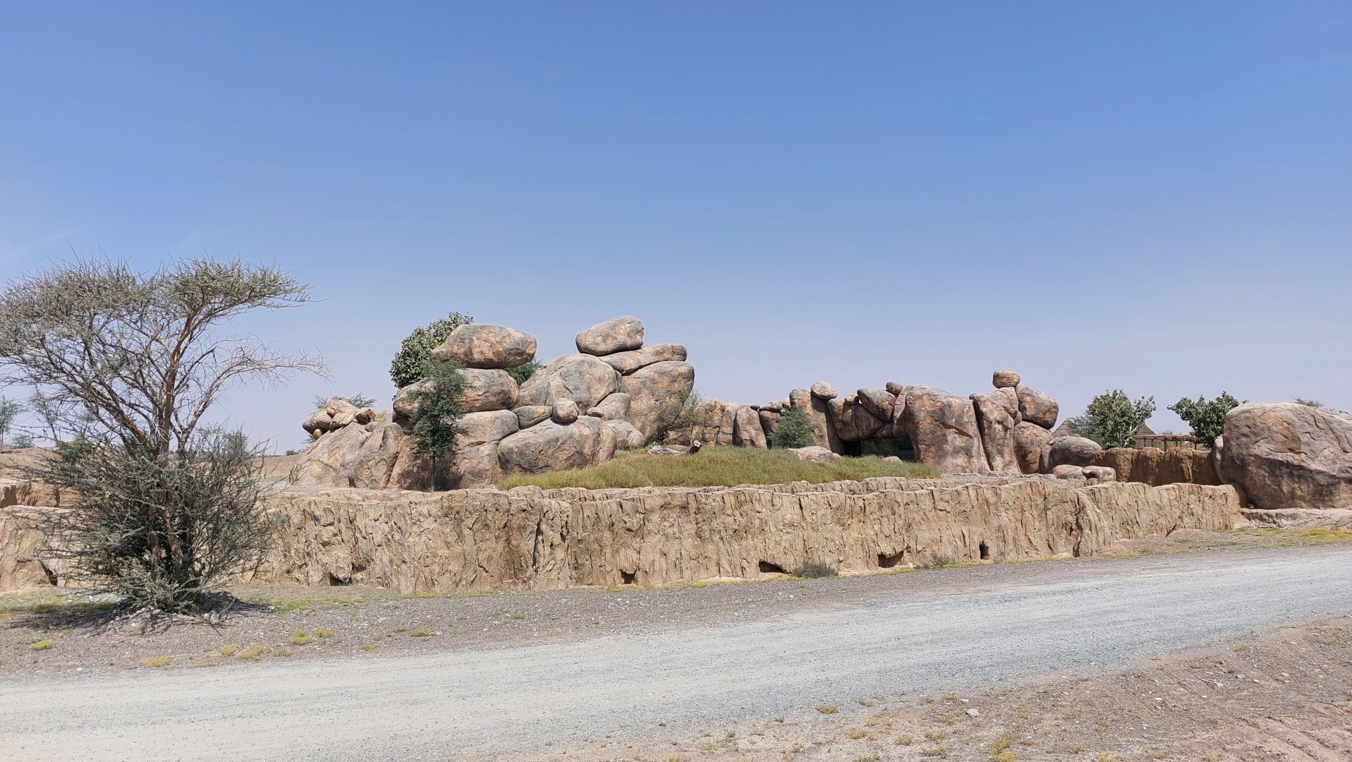 Lion rock in Serengeti area