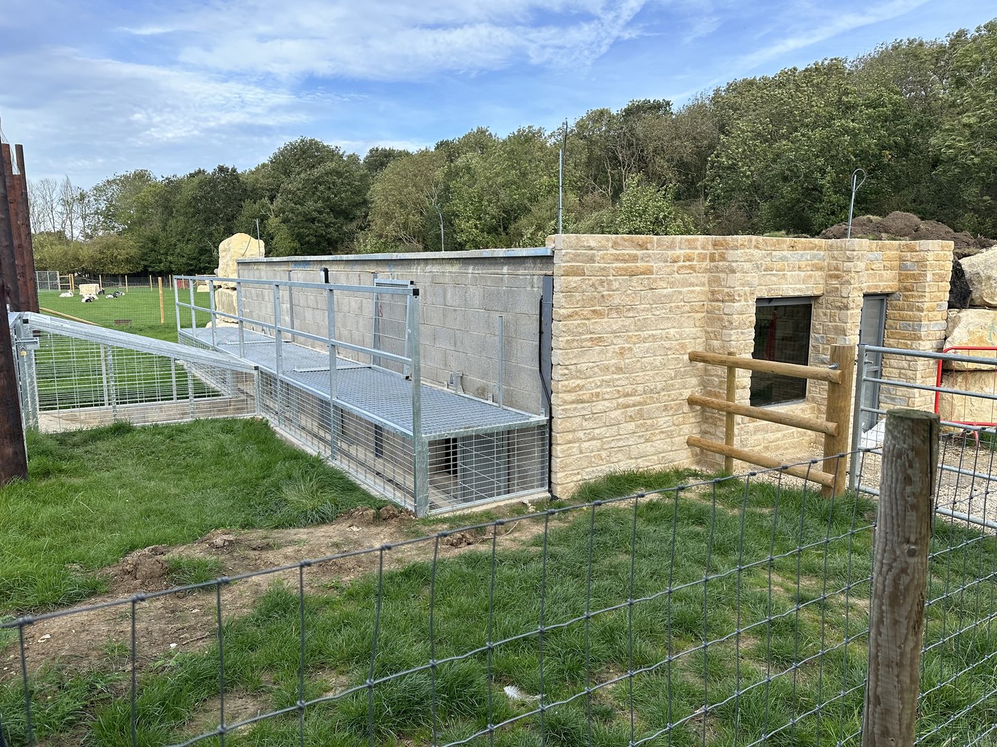 Lion Runs / Housing at Johnsons of Old Hurst (October 2023)