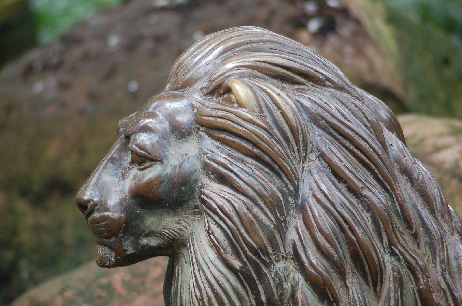 Lion sculpture
