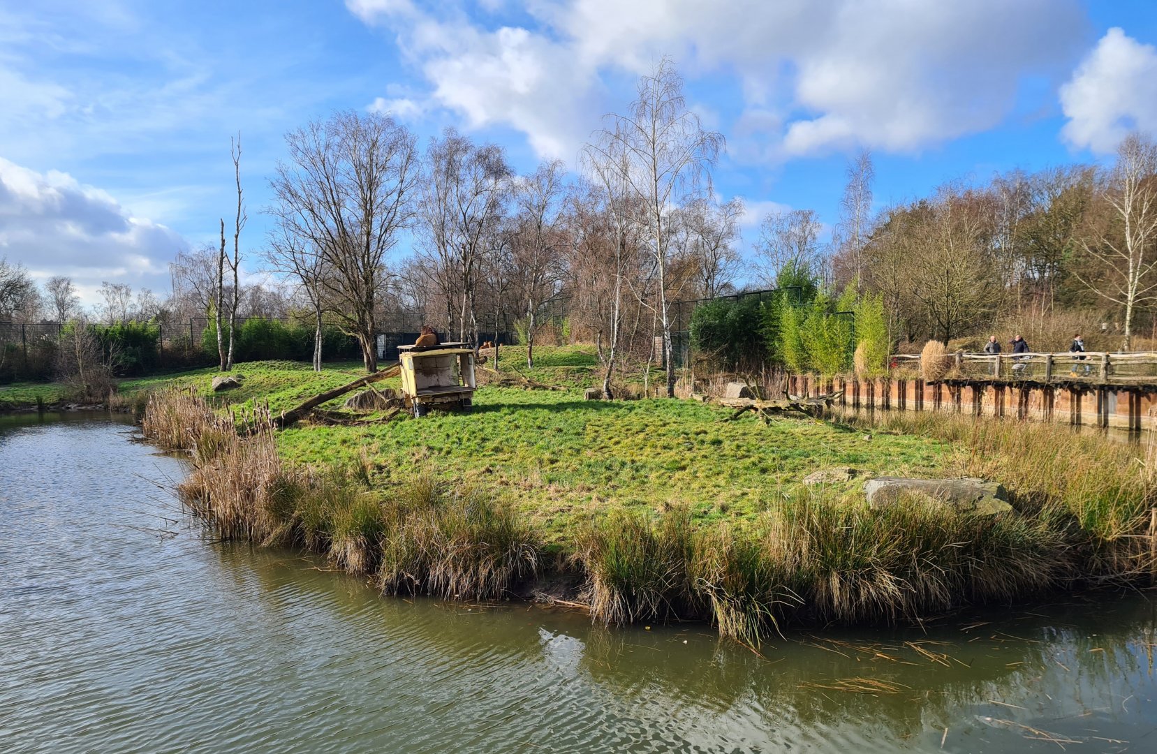 Lion separation enclosure