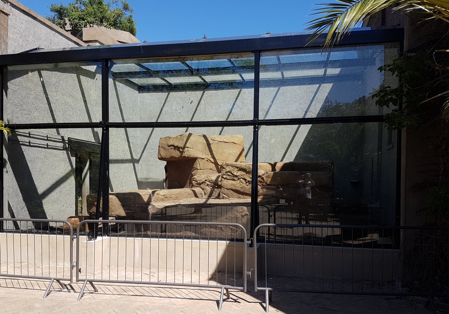 Lion seperation cage