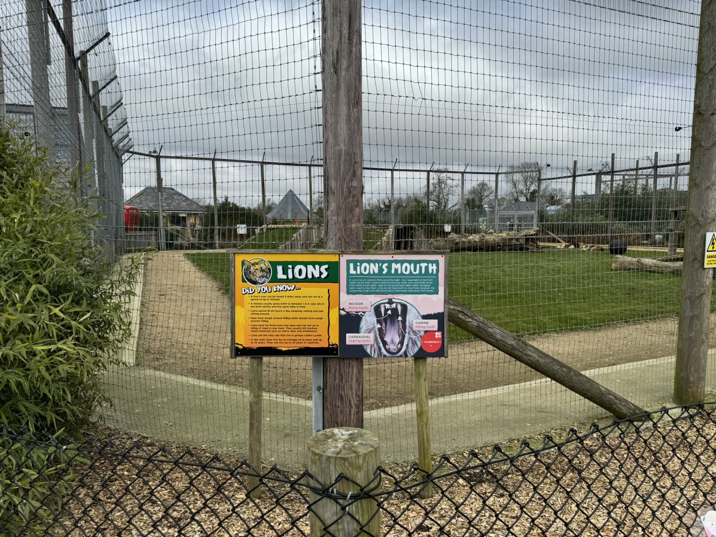 Lion Signage at Wolds Wildlife Park (March 2024)