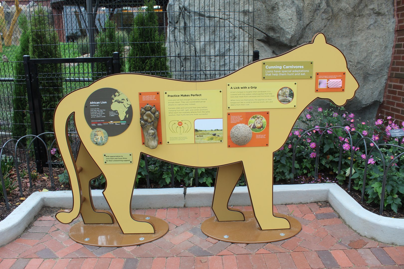 Lion Signage - Pepper Family Wildlife Center