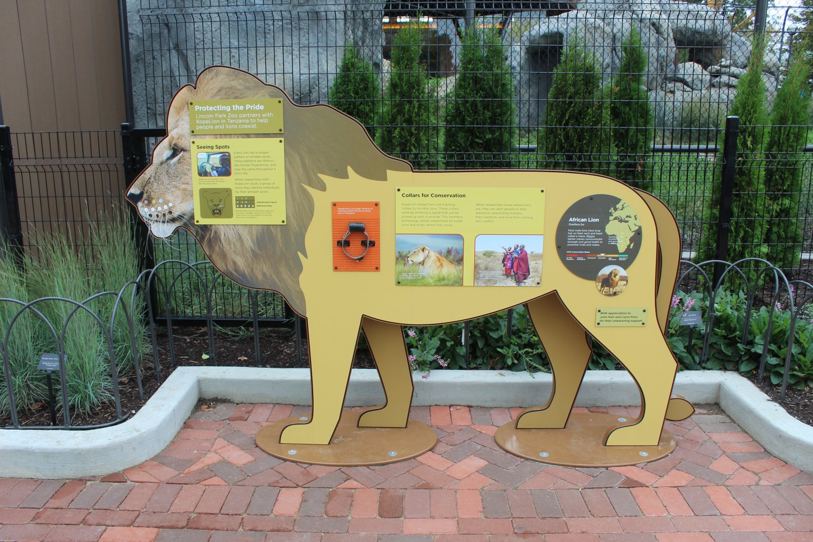 Lion Signage - Pepper Family Wildlife Center