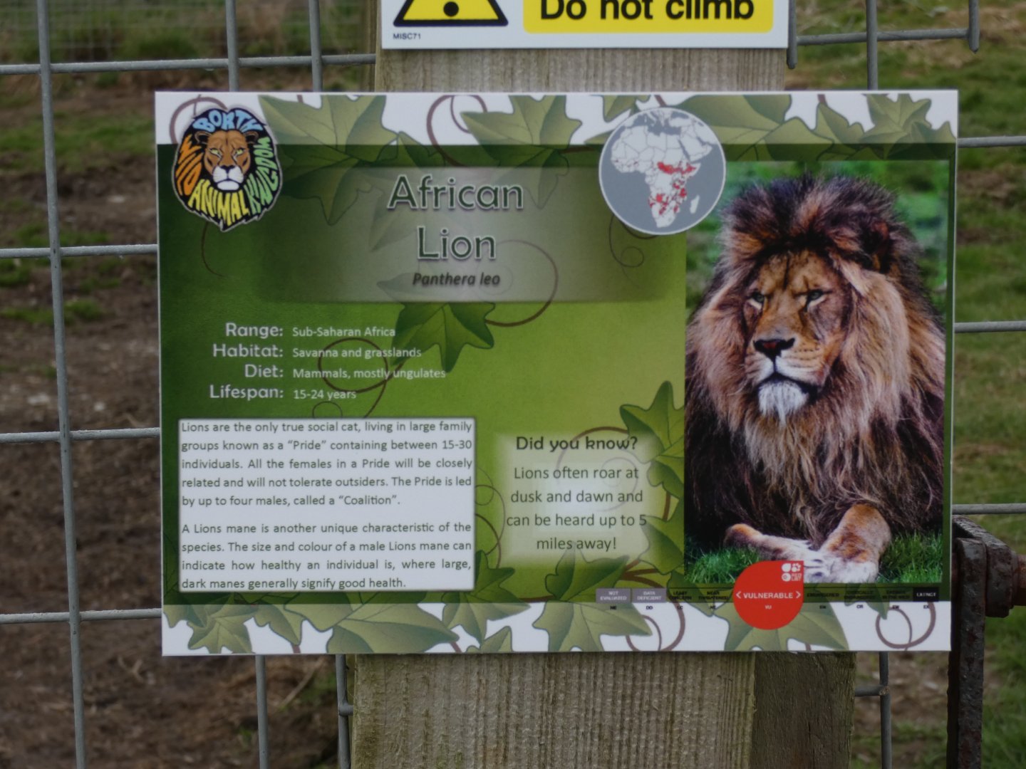 Lion Signage