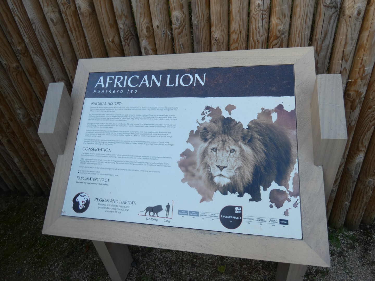 Lion signage
