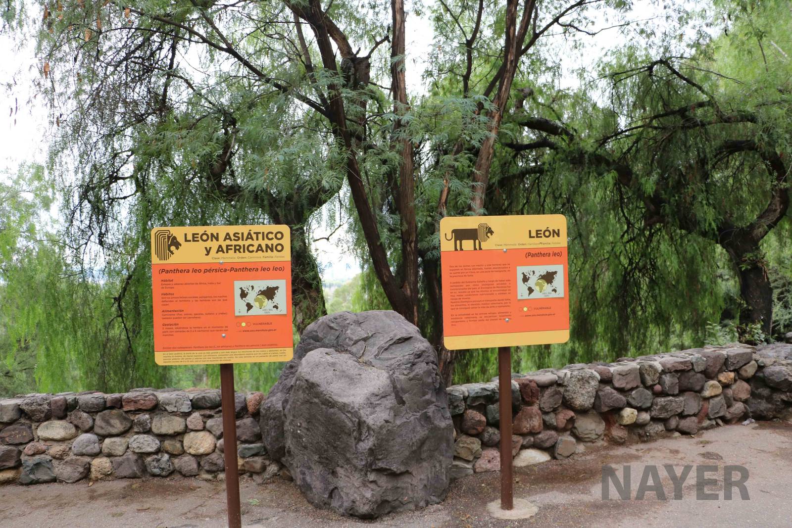 Lion signs - Mendoza Zoo, April 2016
