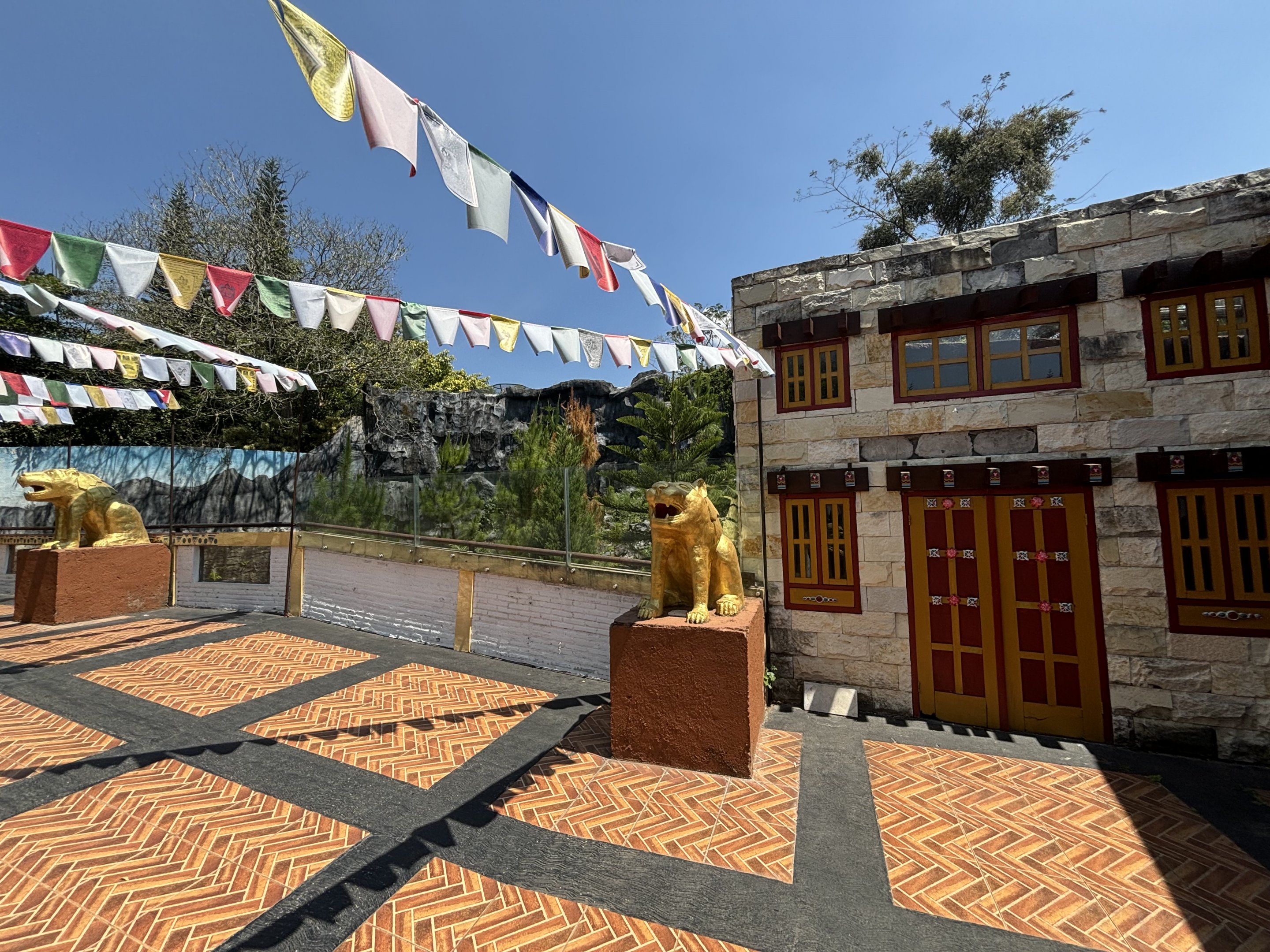 Lion + Snow Leopard Complex