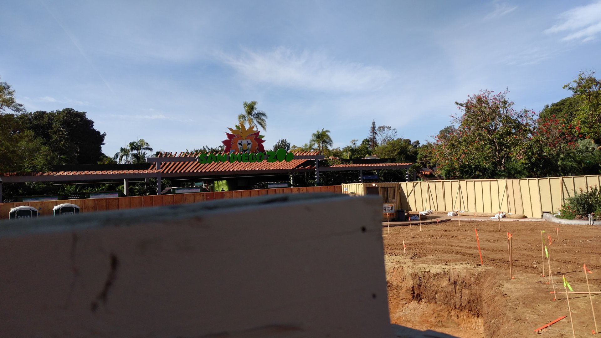 Lion statue construction 1