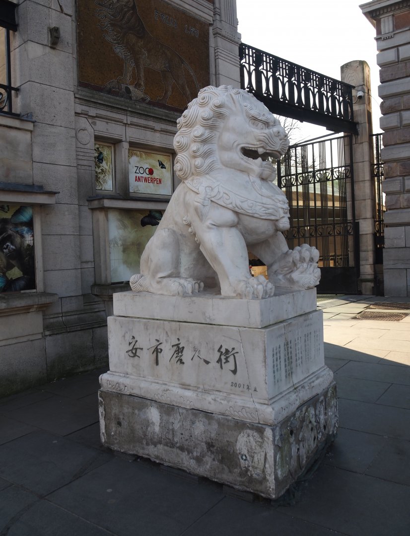 Lion statue from Antwerp's Chinese quarter, temporarily placed by the zoo's entrance, 2025-03-16