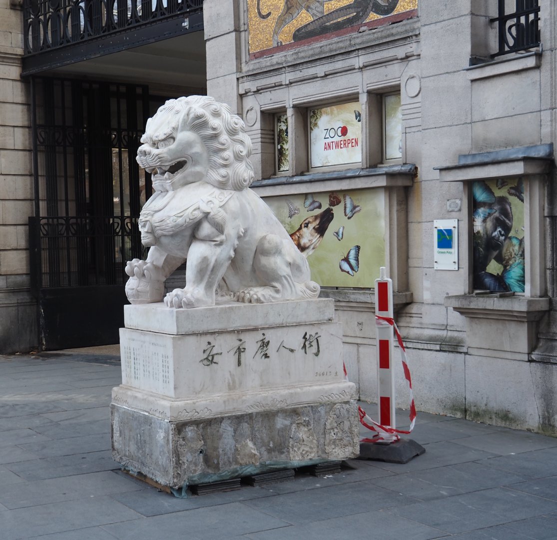 Lion statue from Antwerp's Chinese quarter, temporarily placed by the zoo's entrance, 2025-03-16