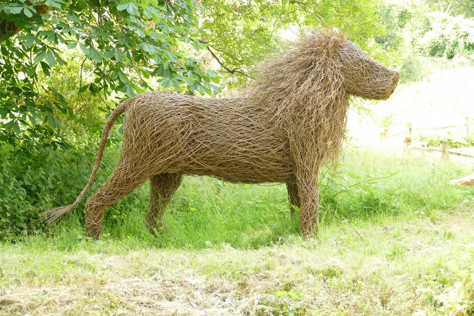 Lion statue, June 2023