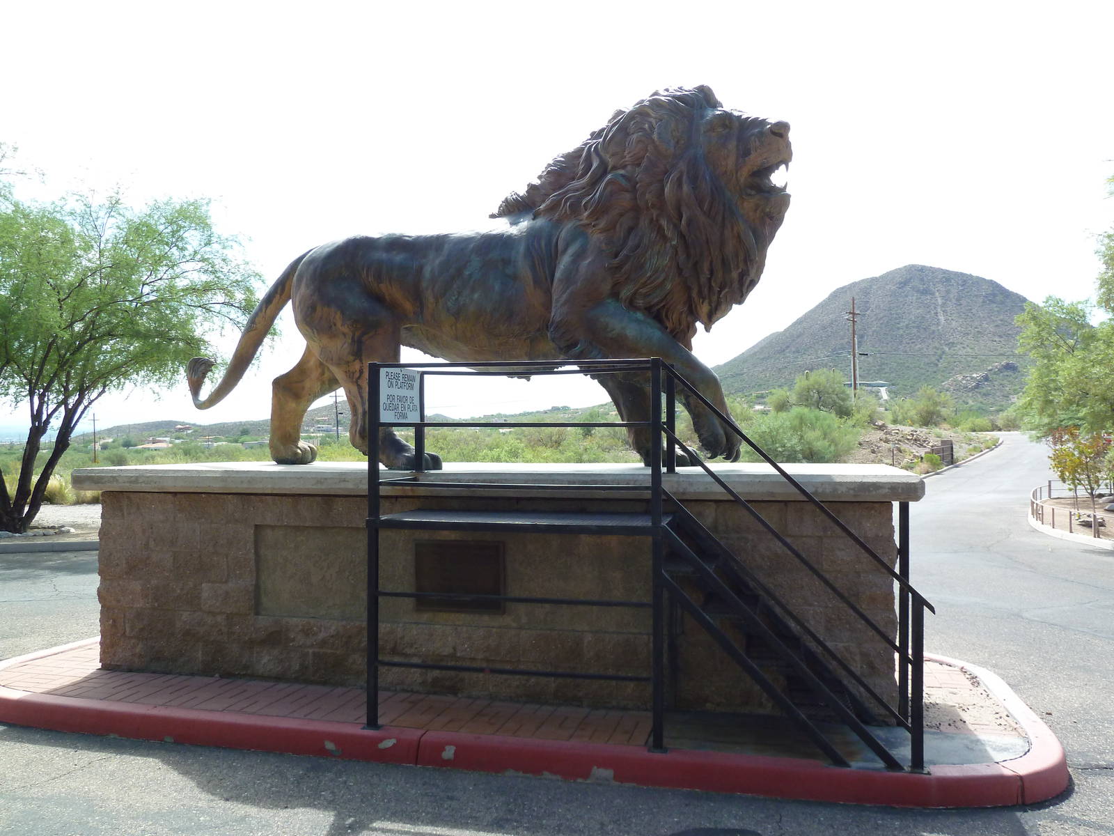 Lion Statue
