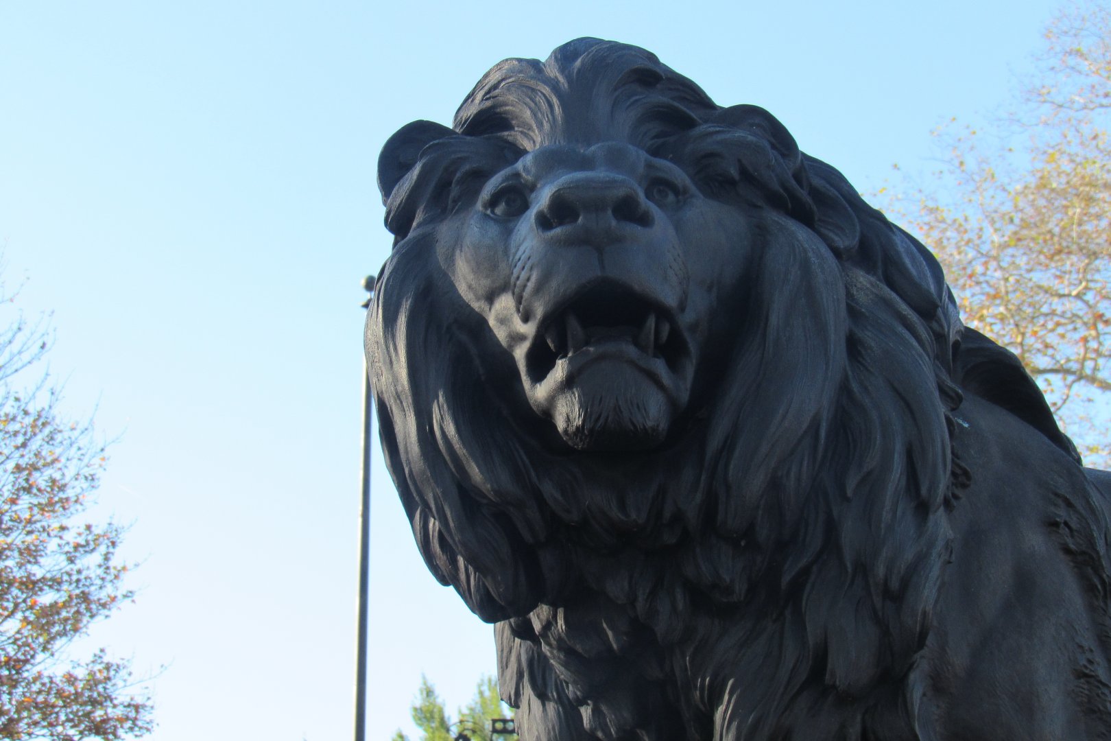 lion statue