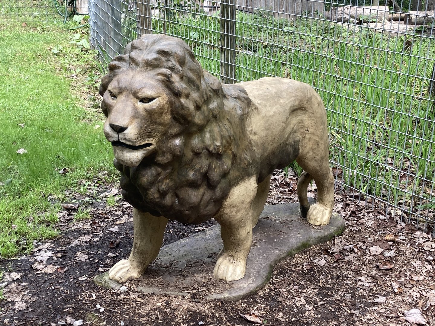 Lion statue