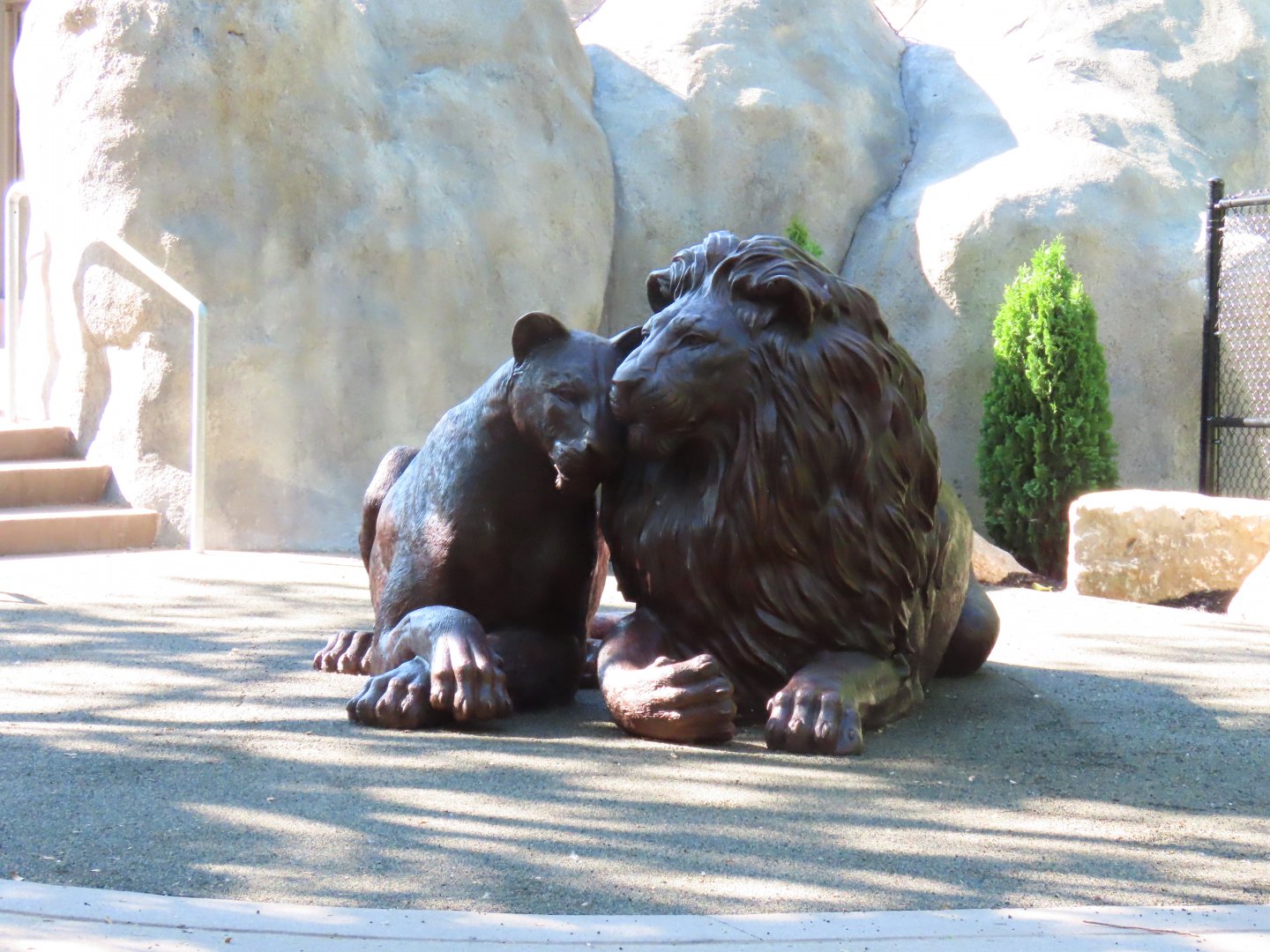 Lion Statues - Kopje Renovation