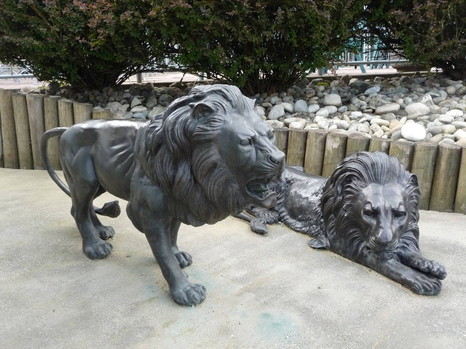 Lion Statues