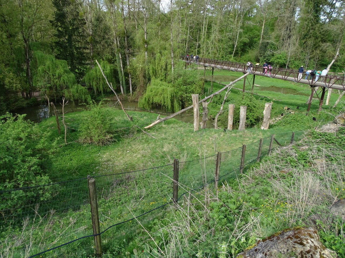 Lion-tailed Macaque and Binturong exhibit