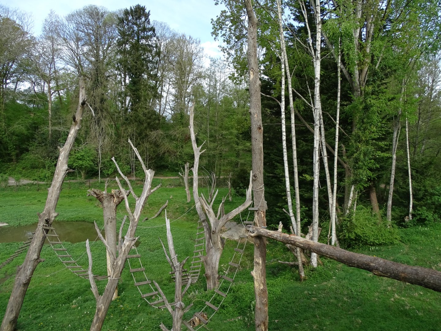 Lion-tailed Macaque and Binturong exhibit