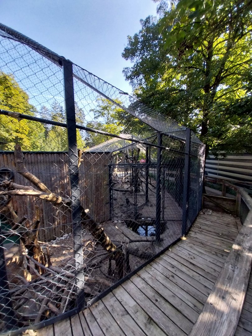 Lion-tailed macaque aviaries