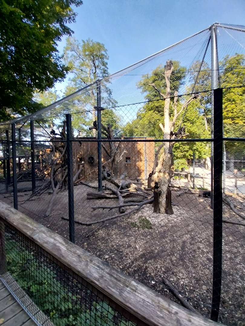 Lion-tailed macaque aviaries
